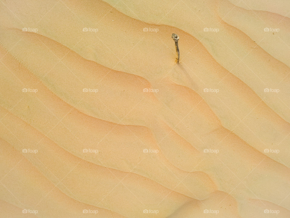 A closeup of sand dune texture