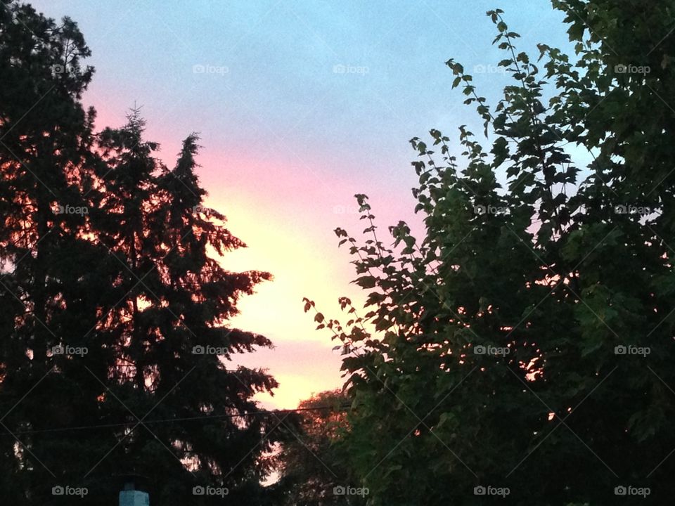 Colorful sunrise behind trees.
