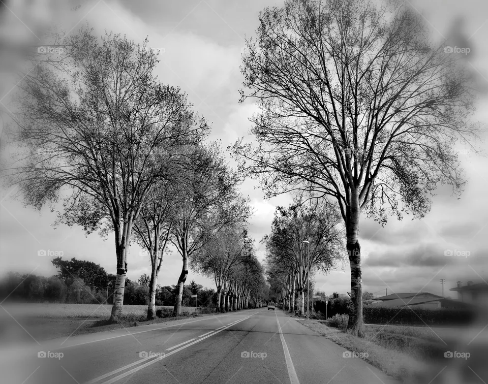 Strada