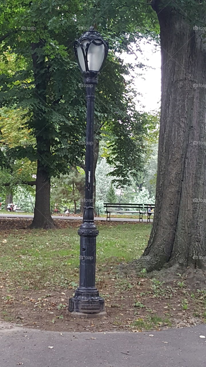 Old Lamp Post in Central Park