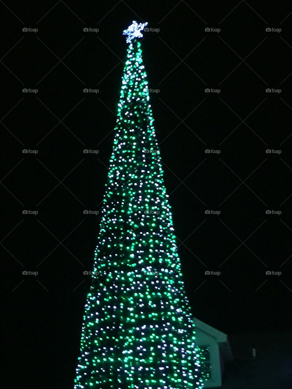 Green outdoor Christmas tree