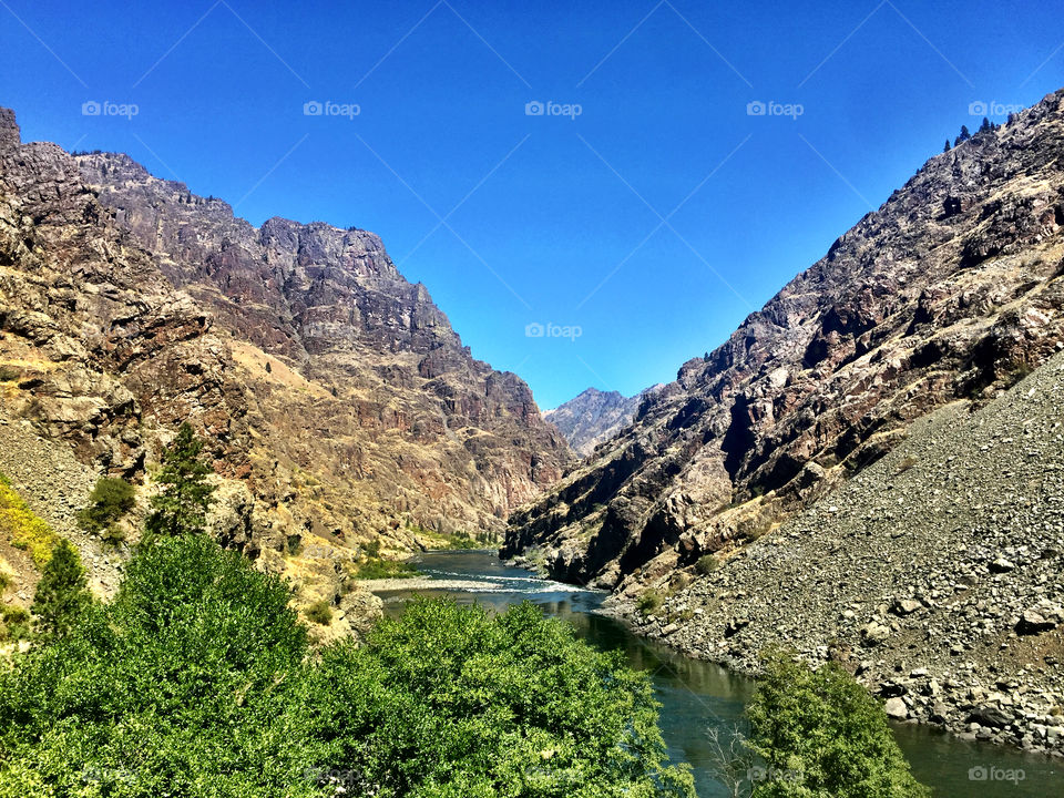 Scenic view of nature