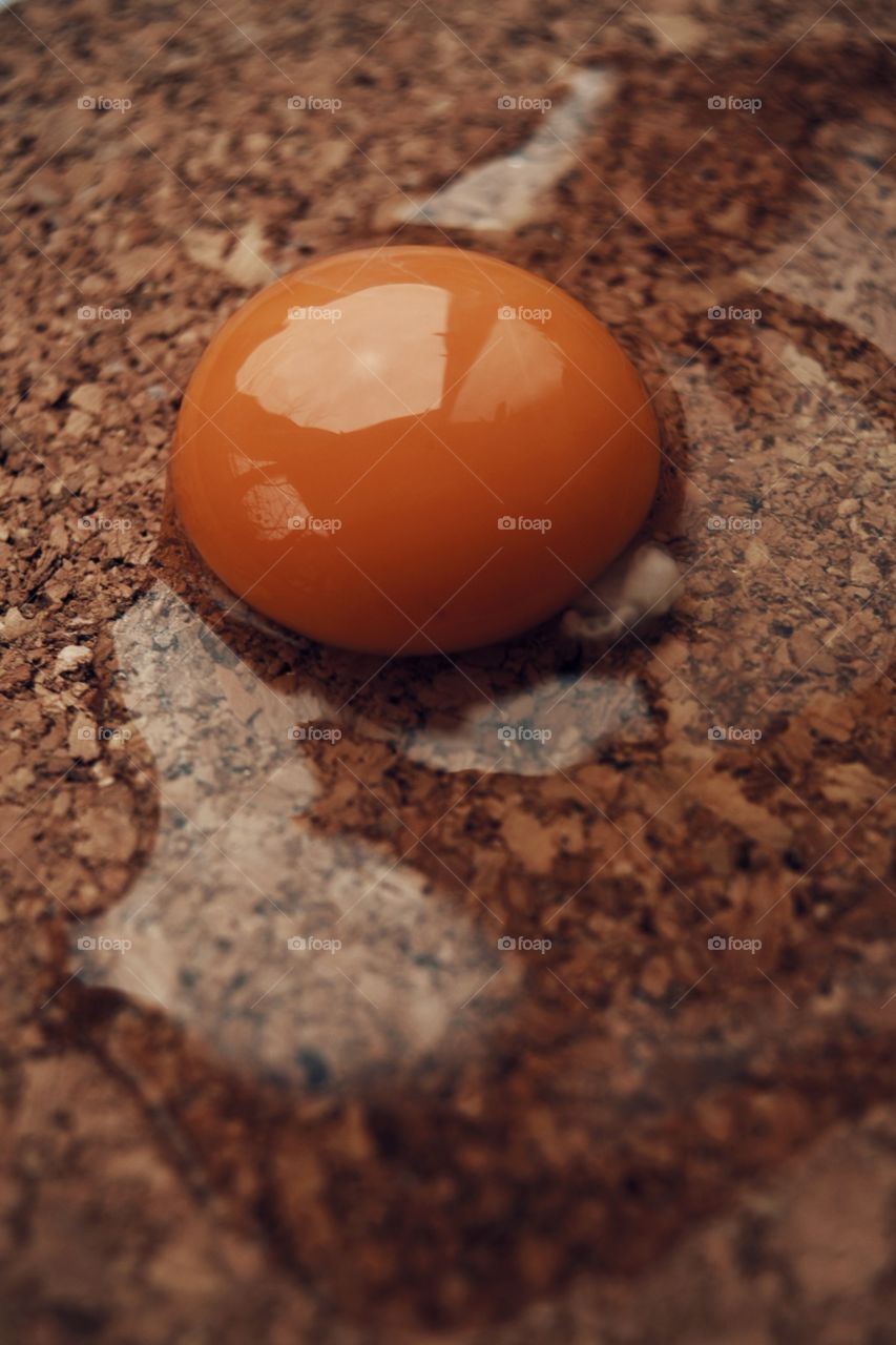 Egg