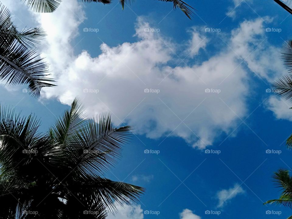 white cloud in the sky