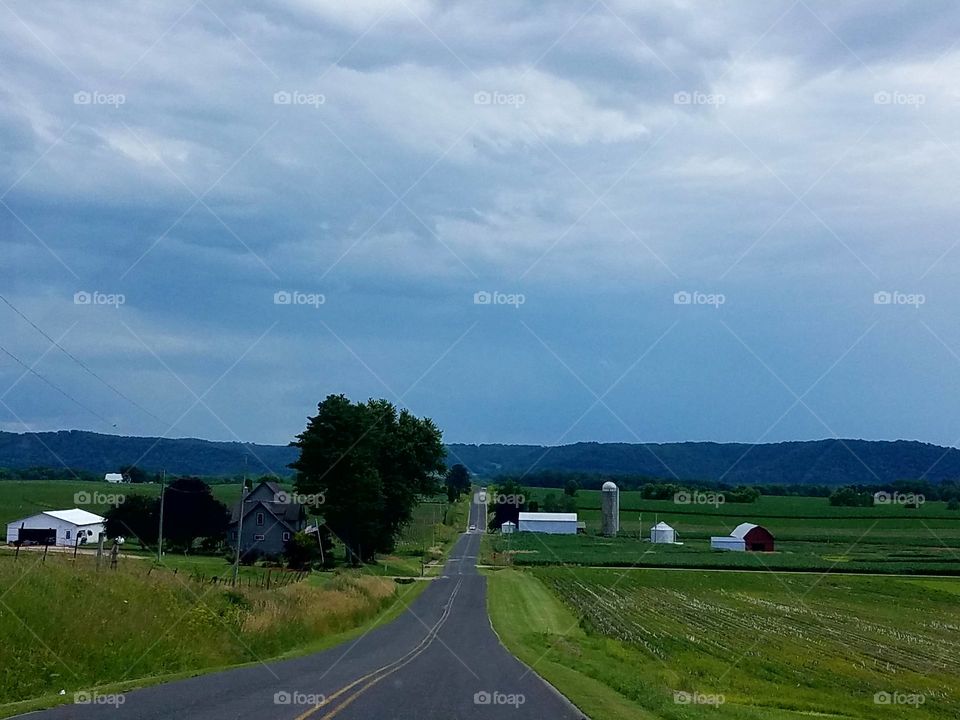 Driving the Back Roads and enjoying everything around us