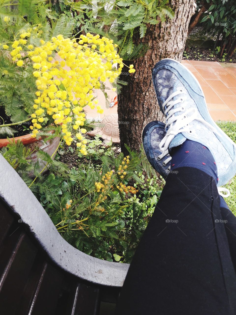 resting in my garden