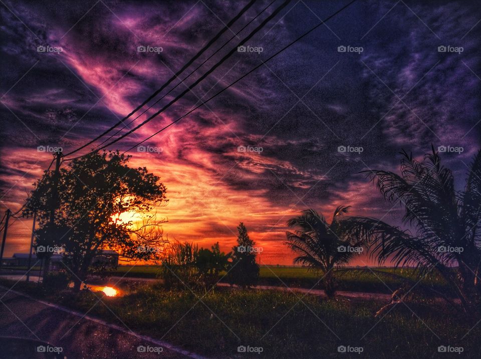 purple sky at sekinchan malaysia~ paddy farm