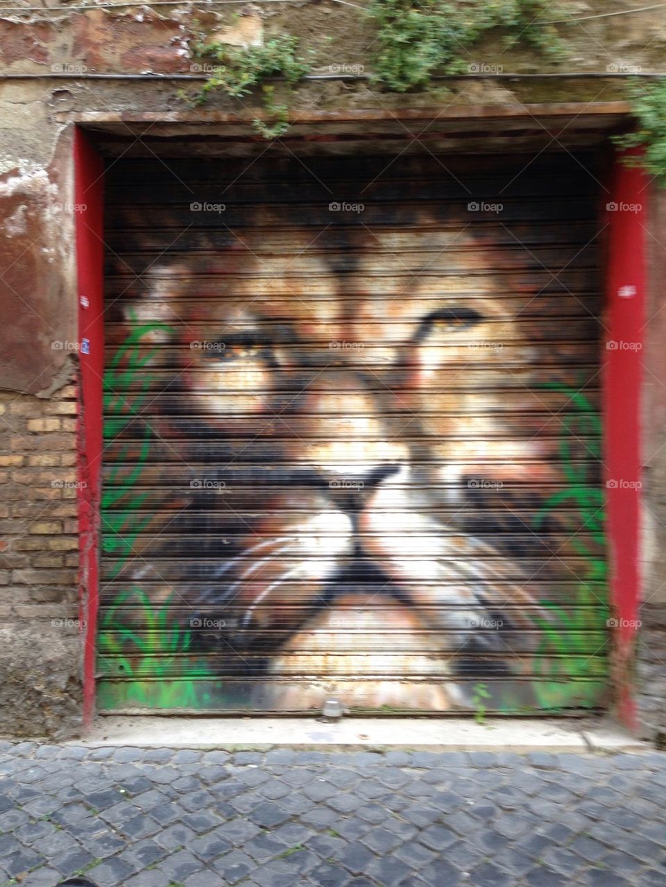 Lion on door