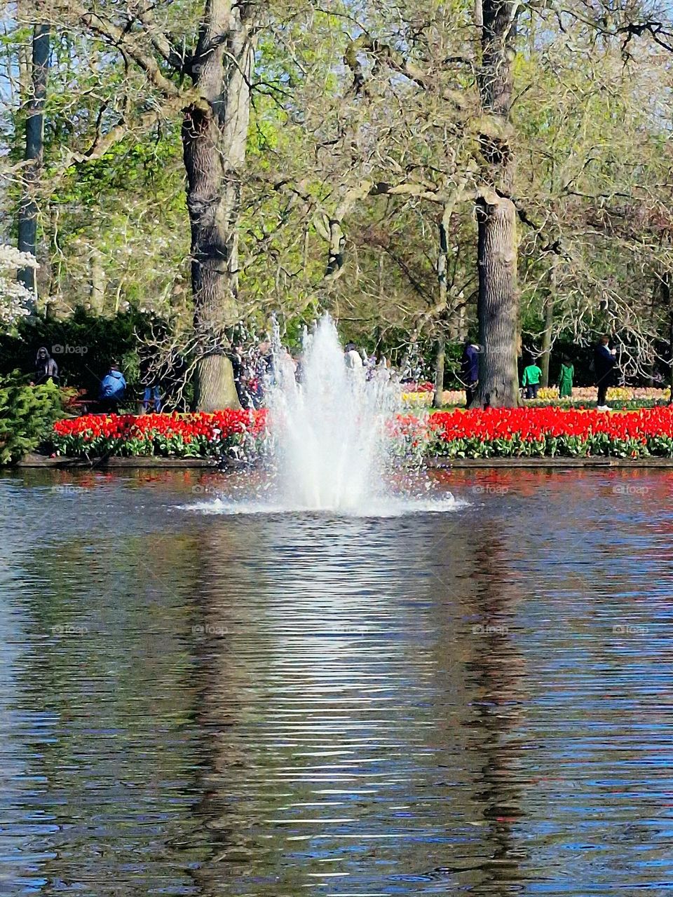 keukenhof