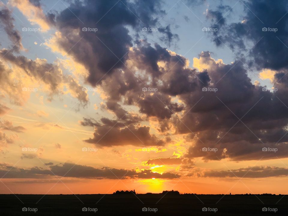 Beautiful golden hour over a wheat field in summer