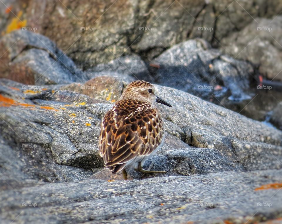 Tadoussac Québec 