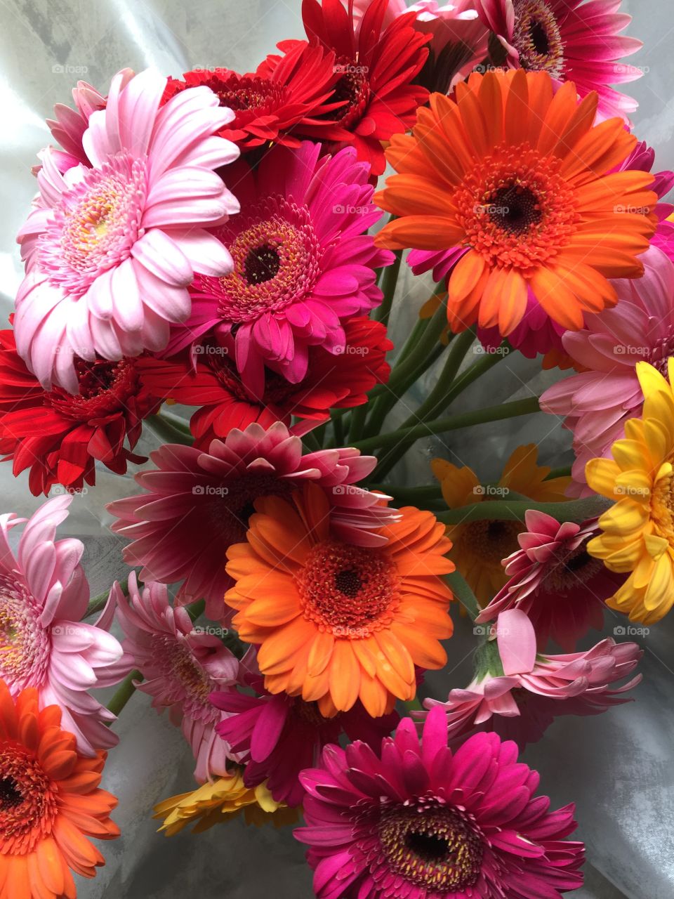 Multicoloured Bouquet of Flowers