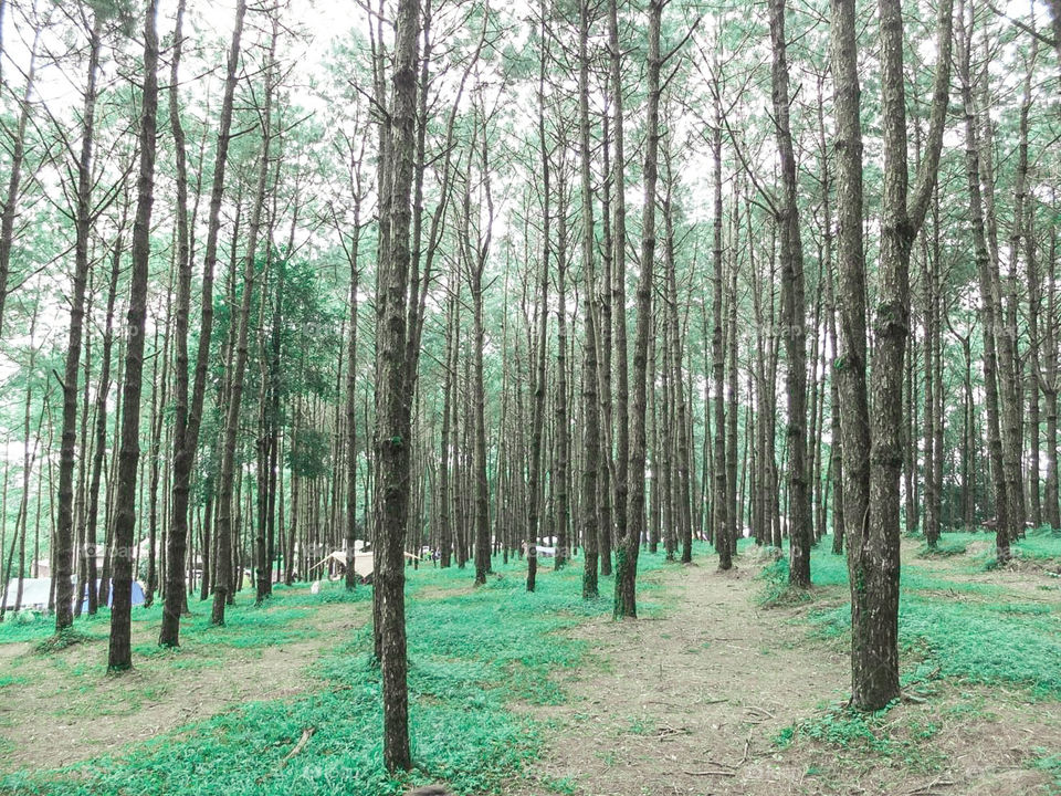 National Park at Thailand💚💙❤️🇹🇭