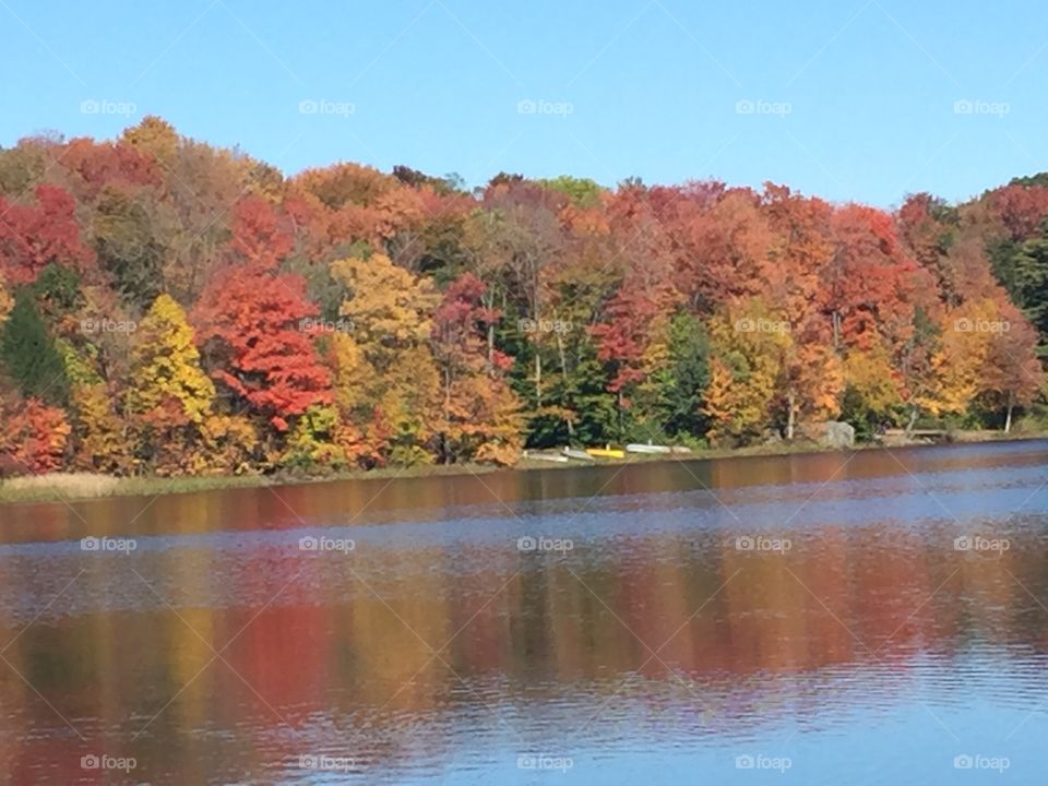 Water view of fall