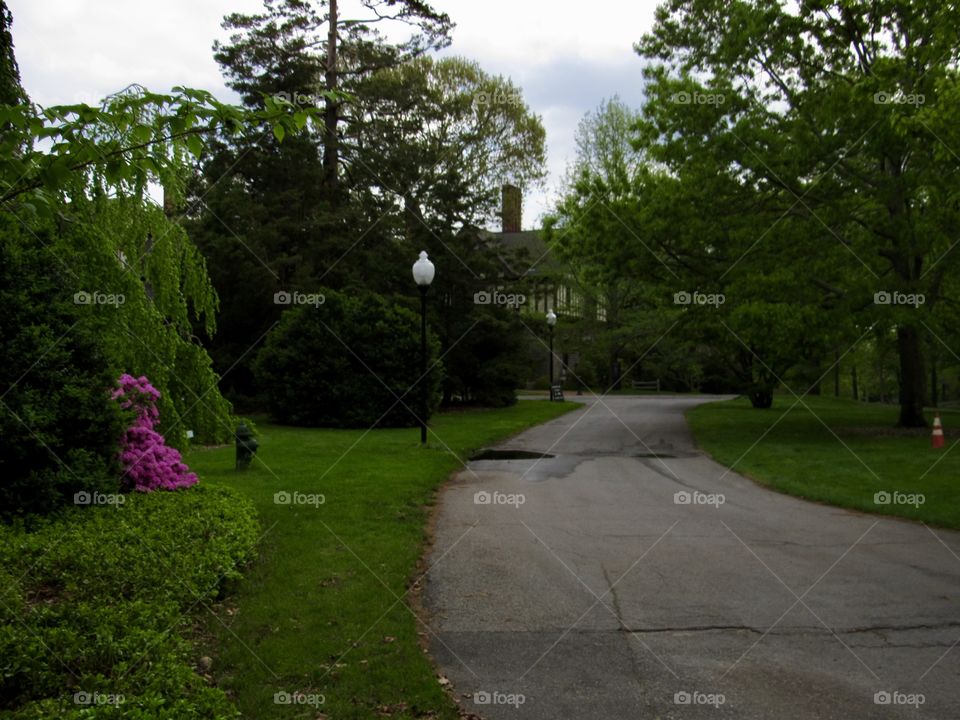 New York, Long Island, Nature, tree, plants, outdoors, calm, relax, shades, colors, Clouds, sky, path, view, architecture, 