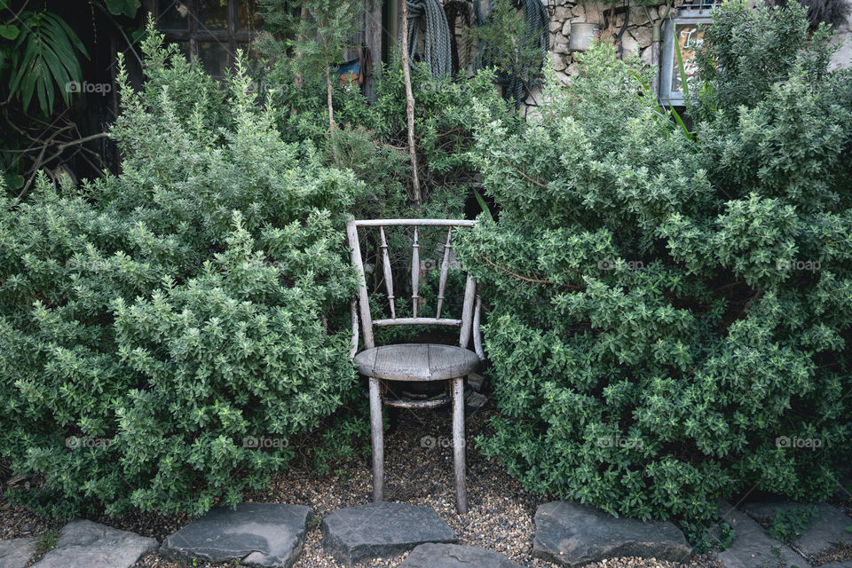 Old wooden chair in the garden