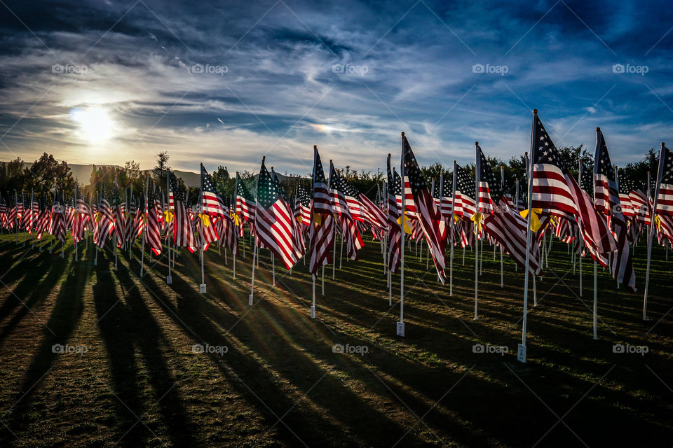 Field of Honor 3