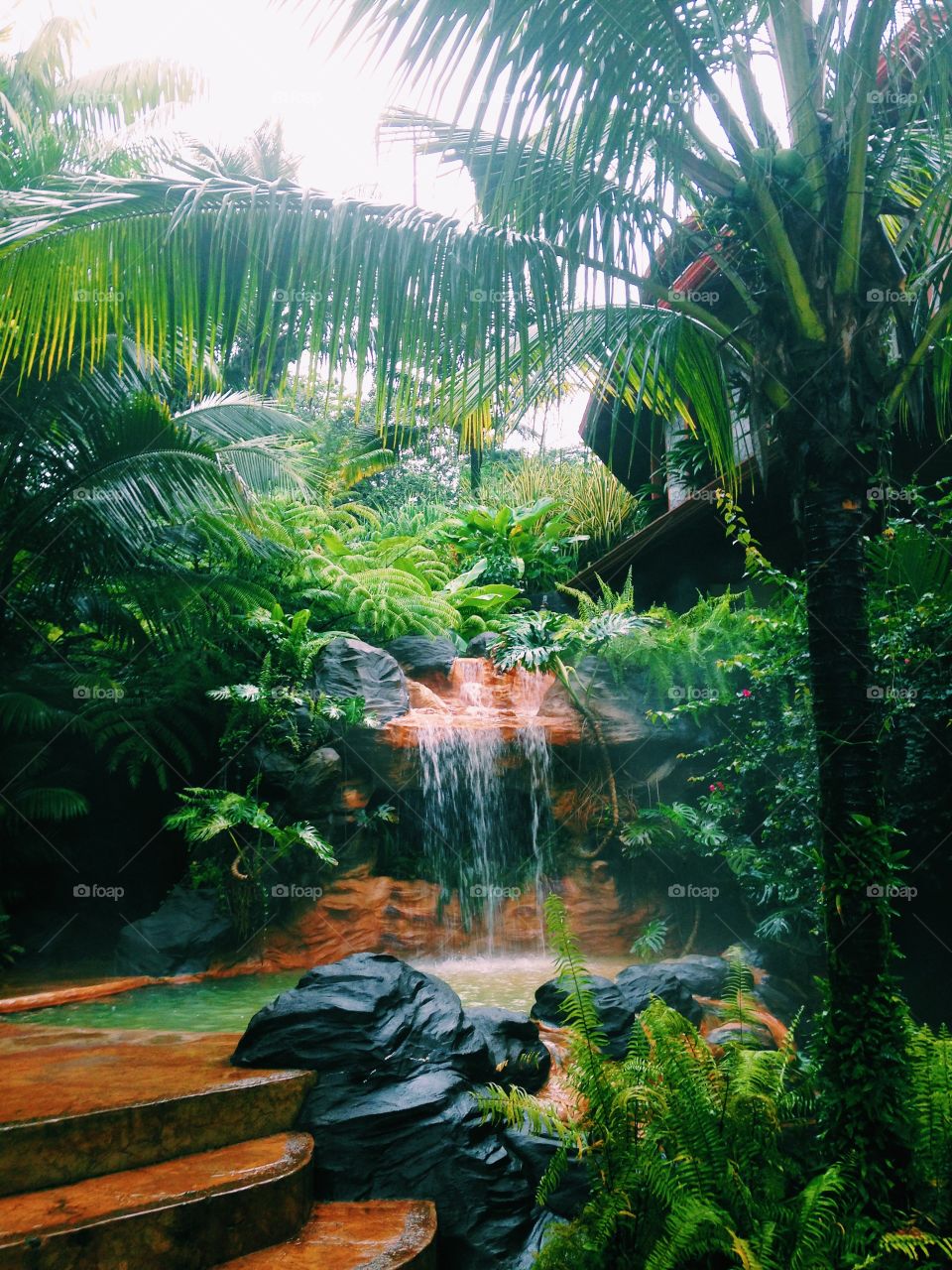 Tropical Paradise 