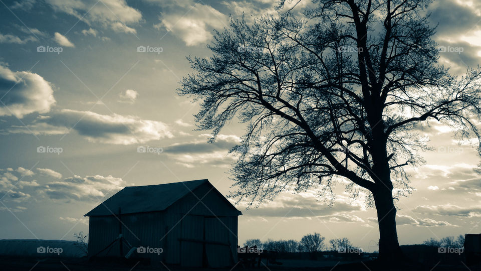 Once Upon A Winter's Day