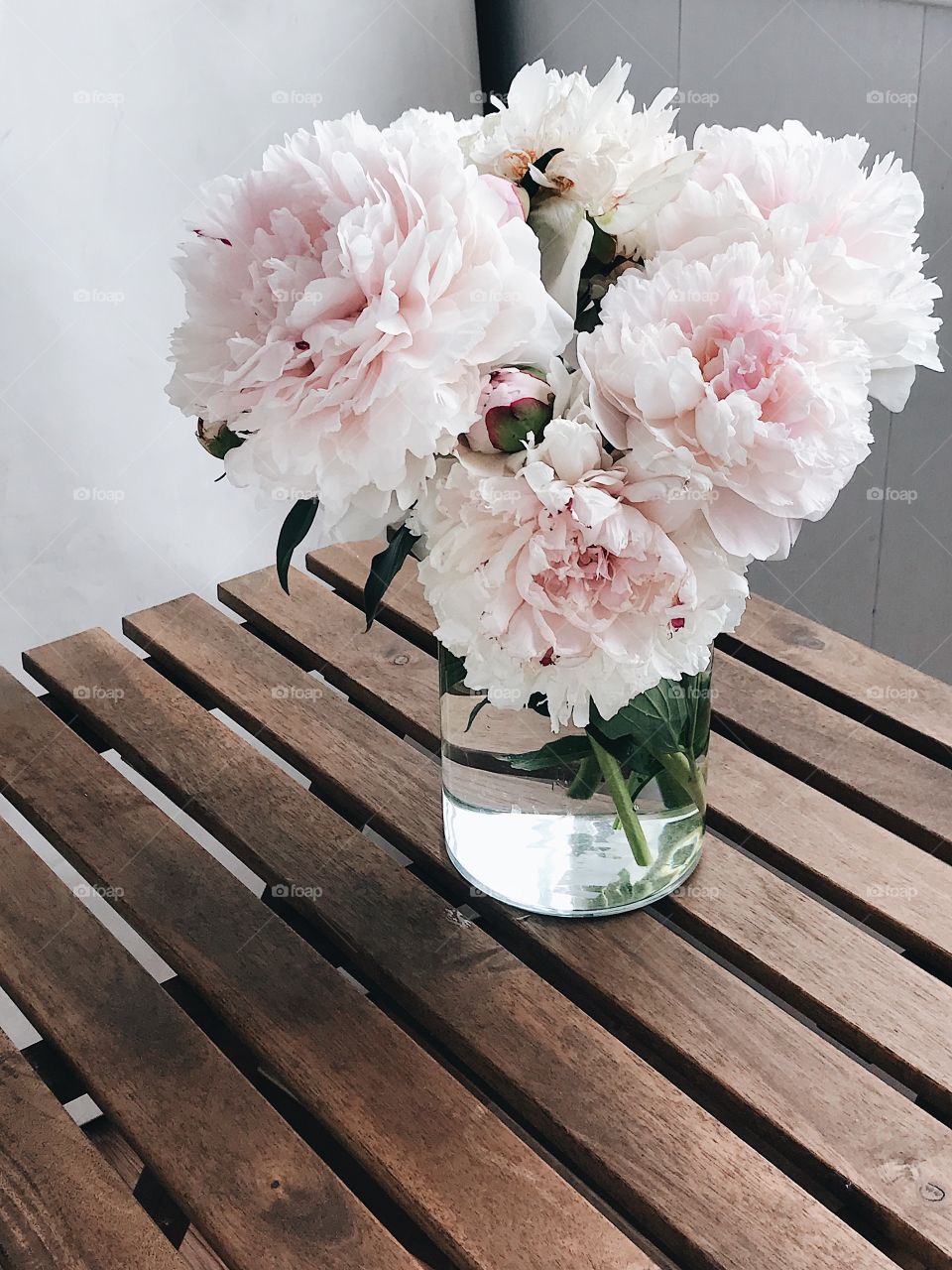 Peonies 