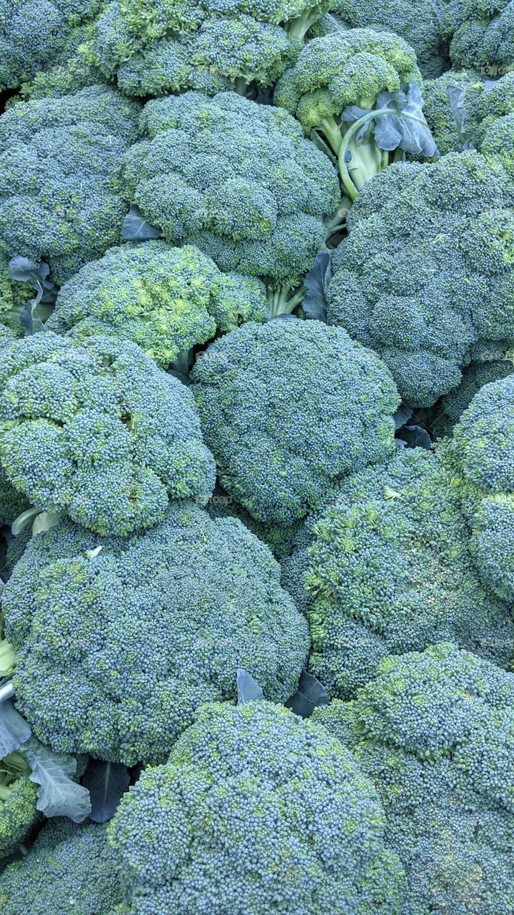 broccoli stems as a vegetable