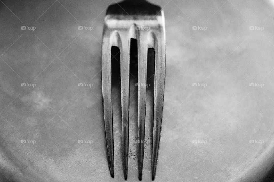 Fork