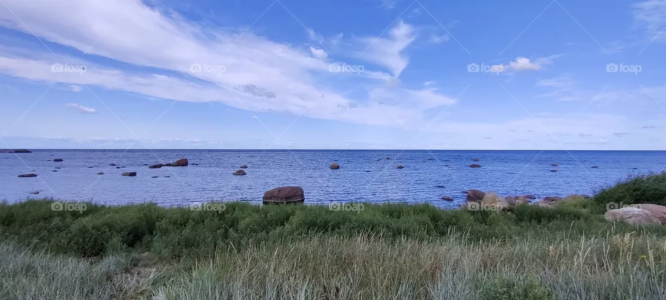 Sea
