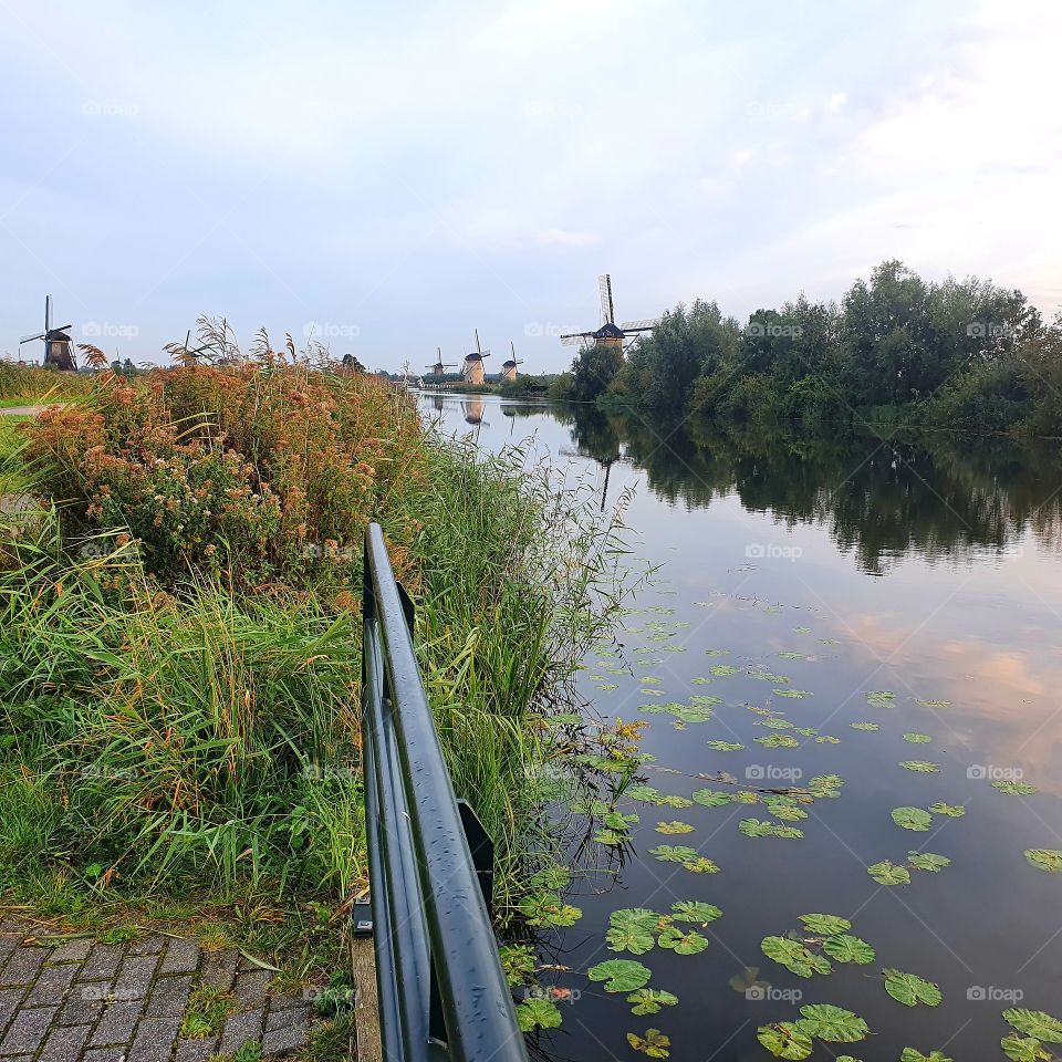 kinderdijk in the Netherlands.