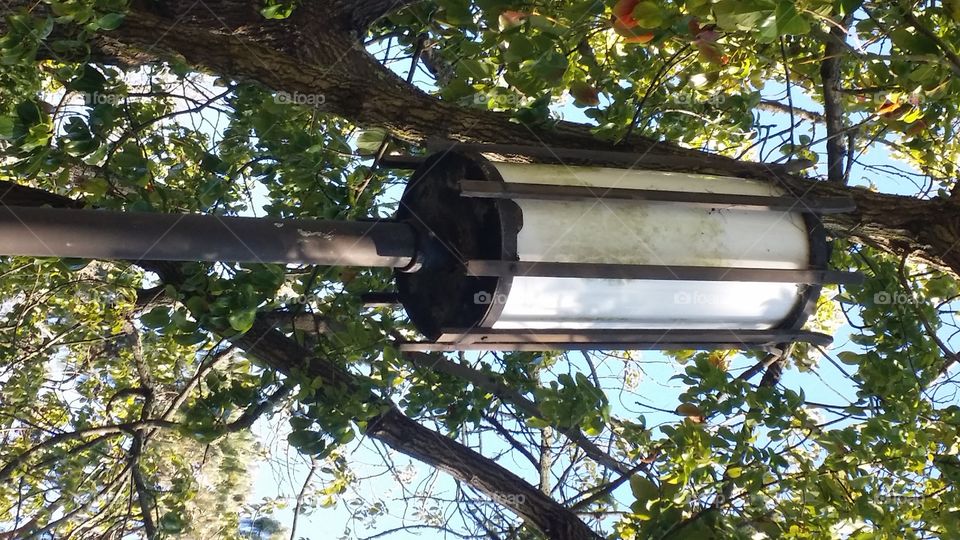 Park Lamp