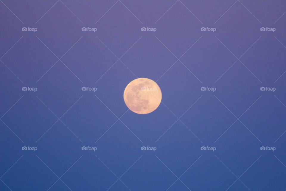 Full rising moon centered in a deep blue evening sky 