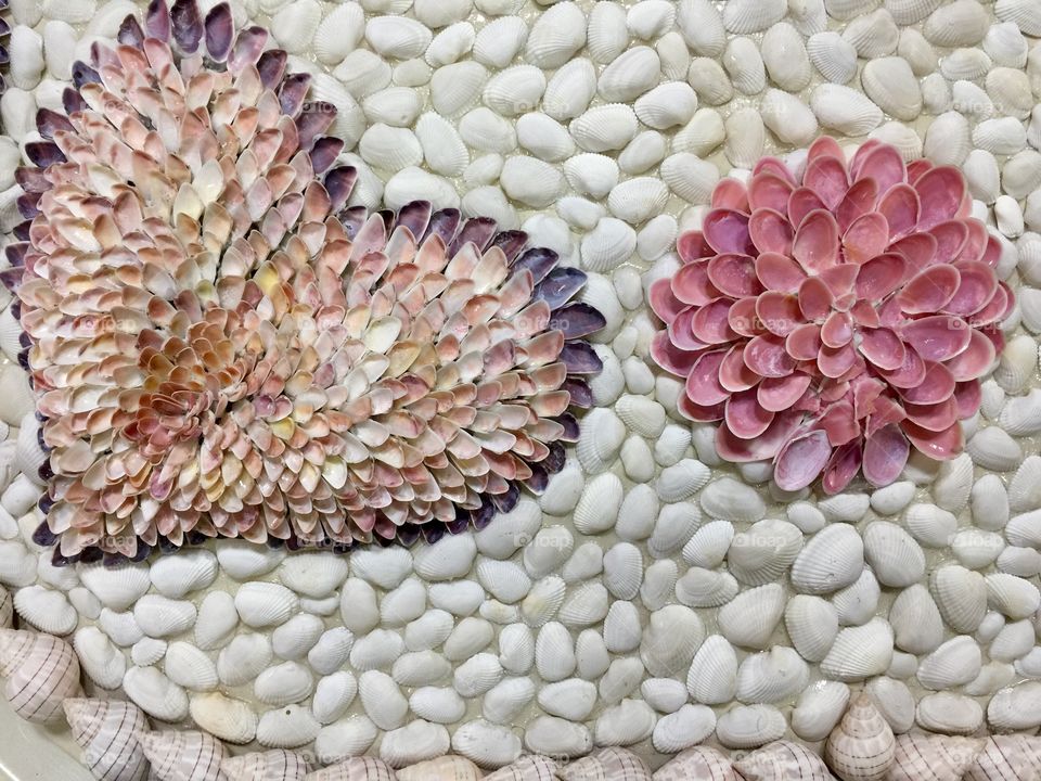 Seashell Hearts