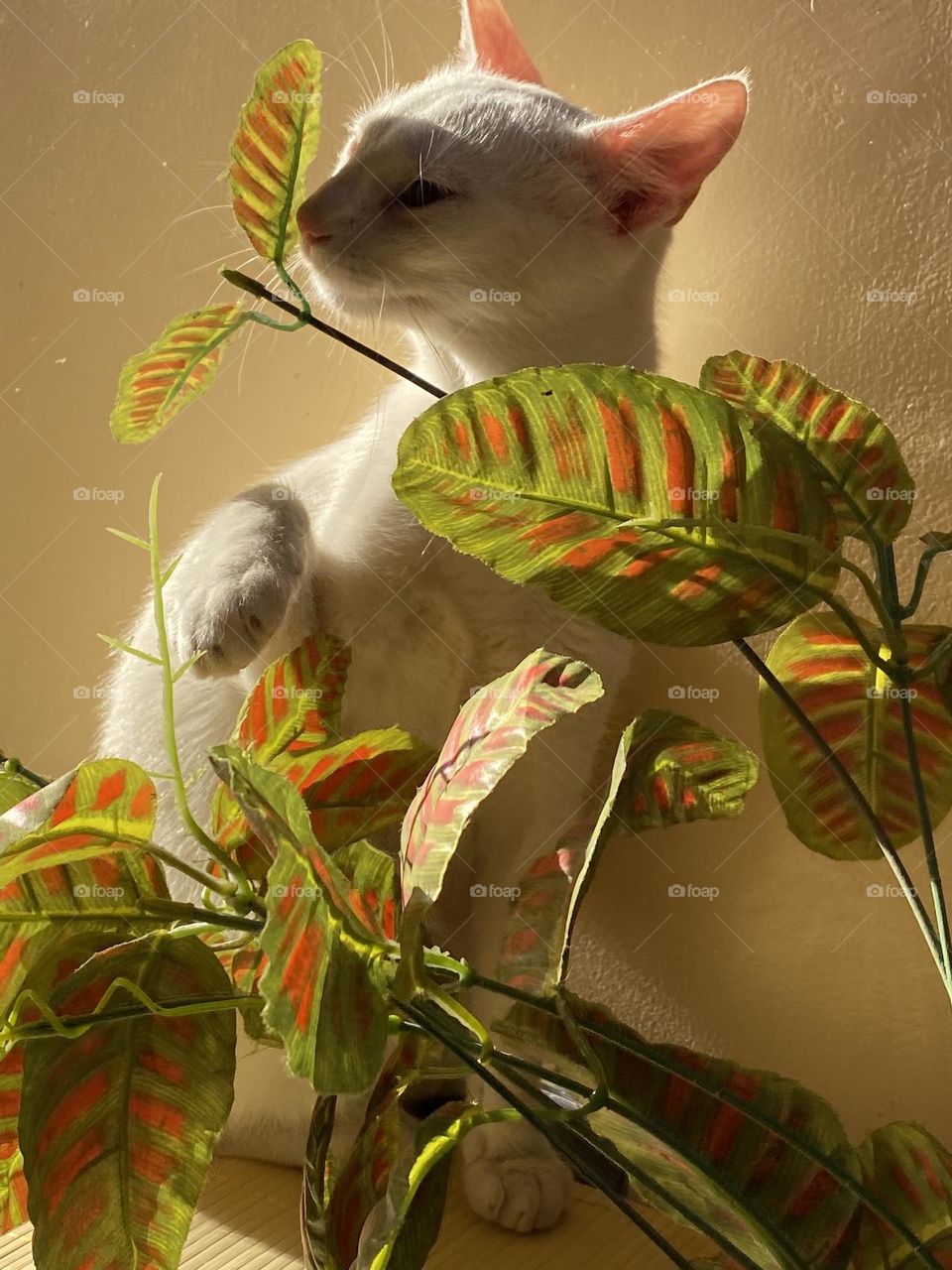 Smelling the flowers 