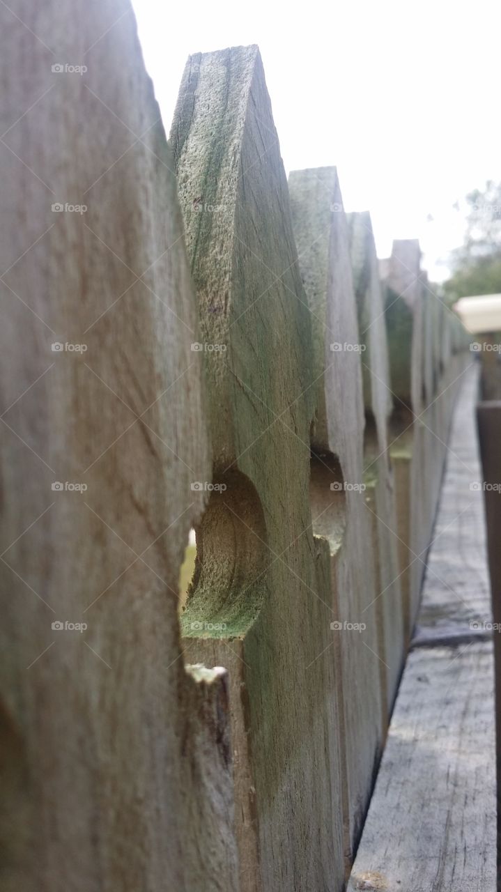 fence