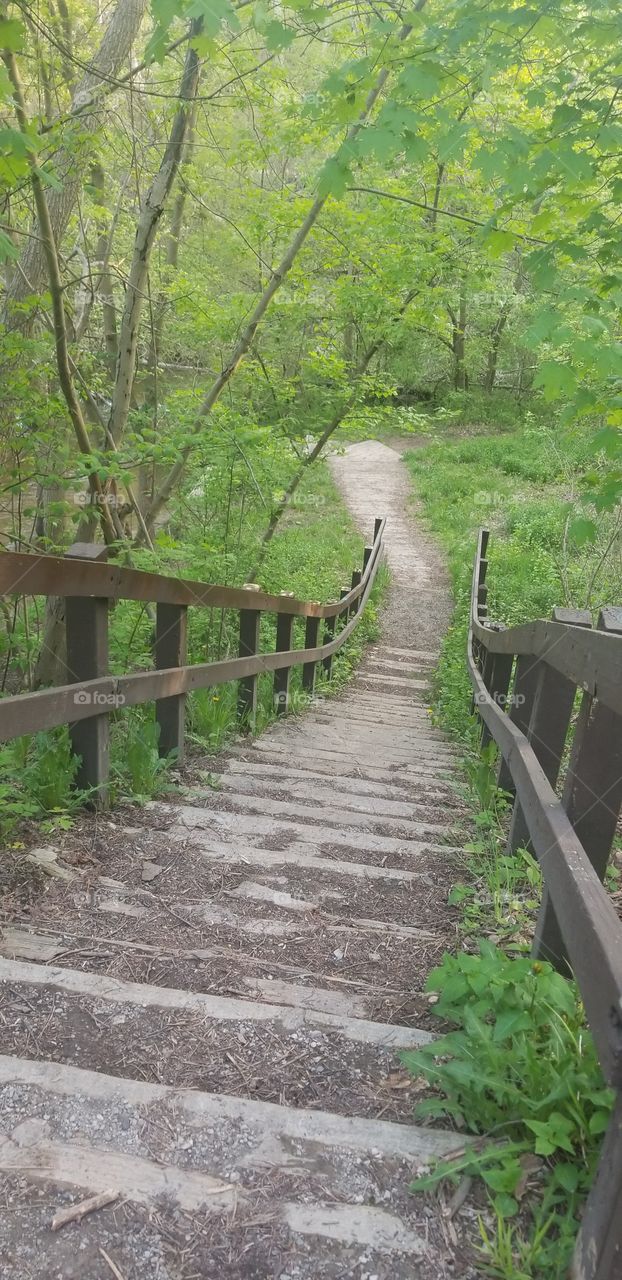 stairway to the creek