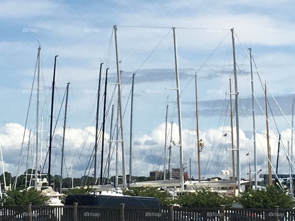 Mass of Masts
