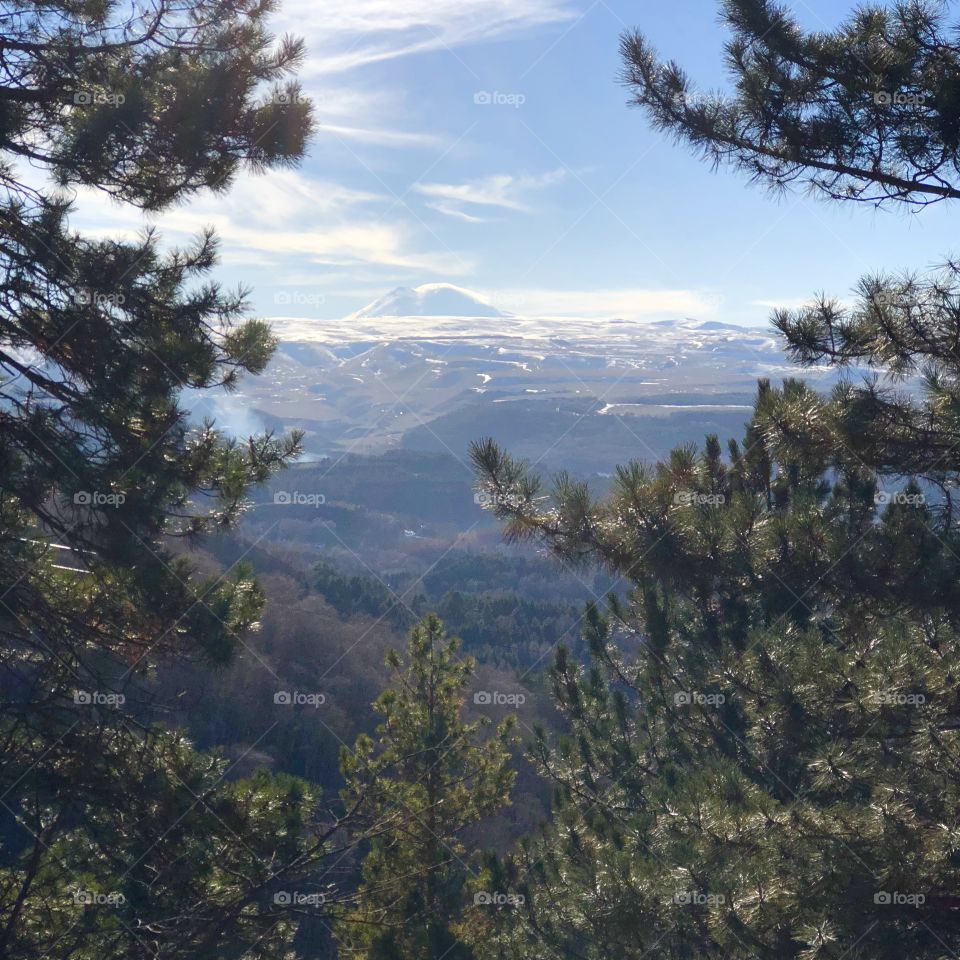 Вид на Эльбрус из Кисловодского парка. Горы и сосны.