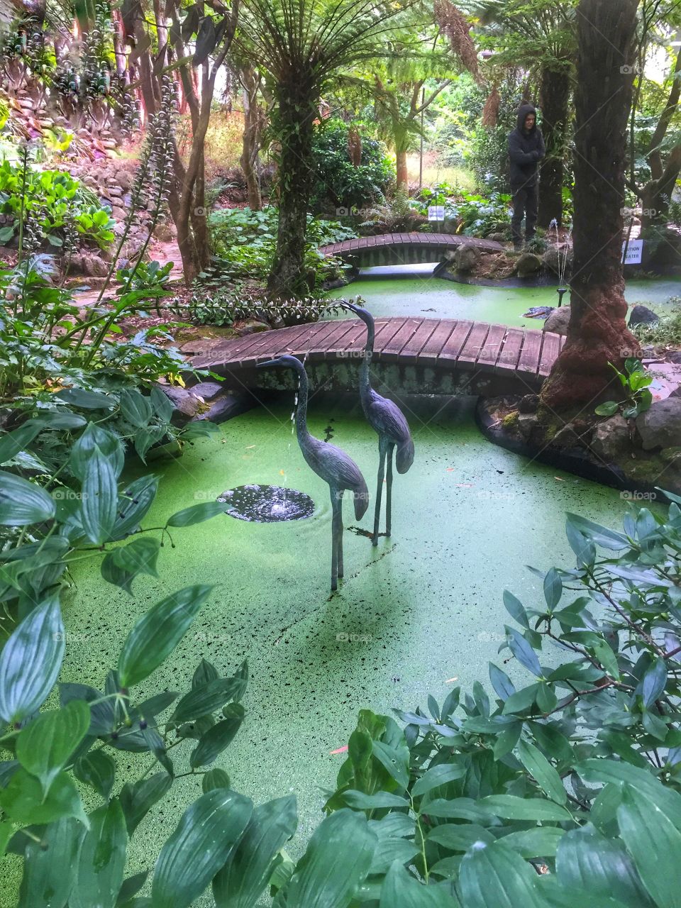 Moss covered pond with bird statues