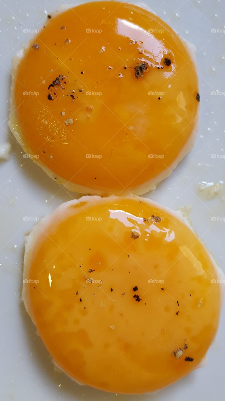 eggs