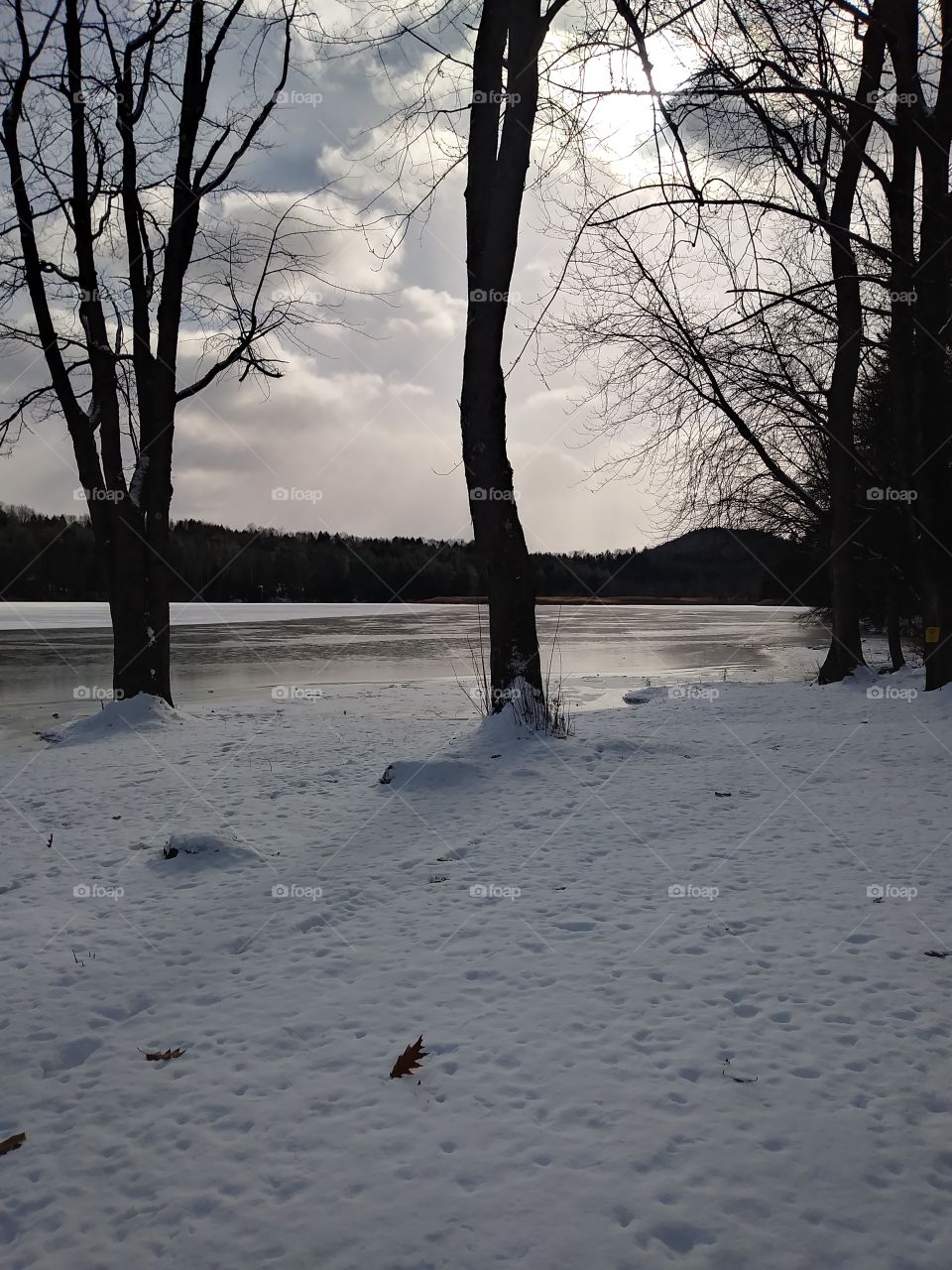 a trip to the lake, nearly frozen.. yet still so beautiful