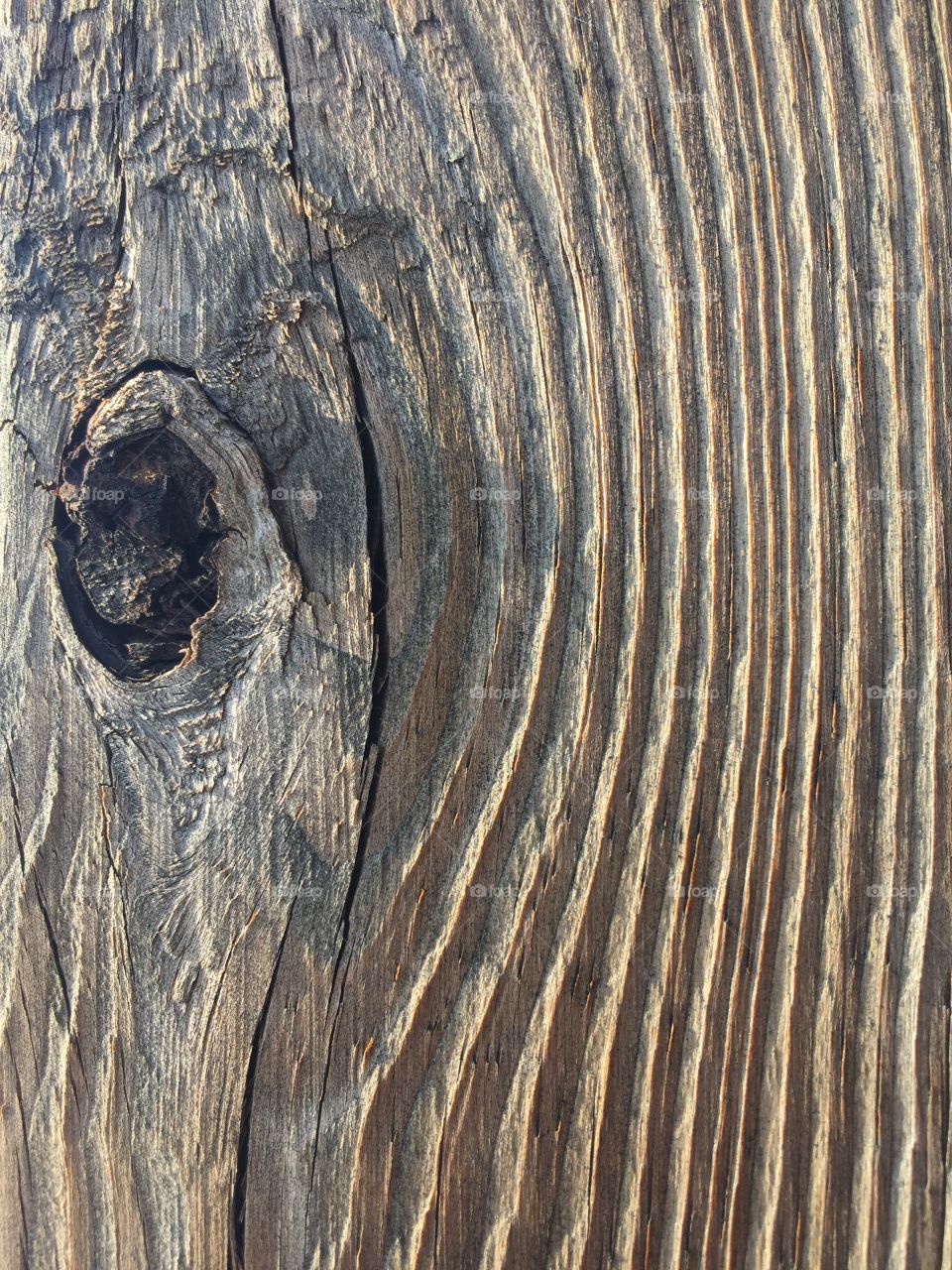 Closeup of the texture of weathered lumber 