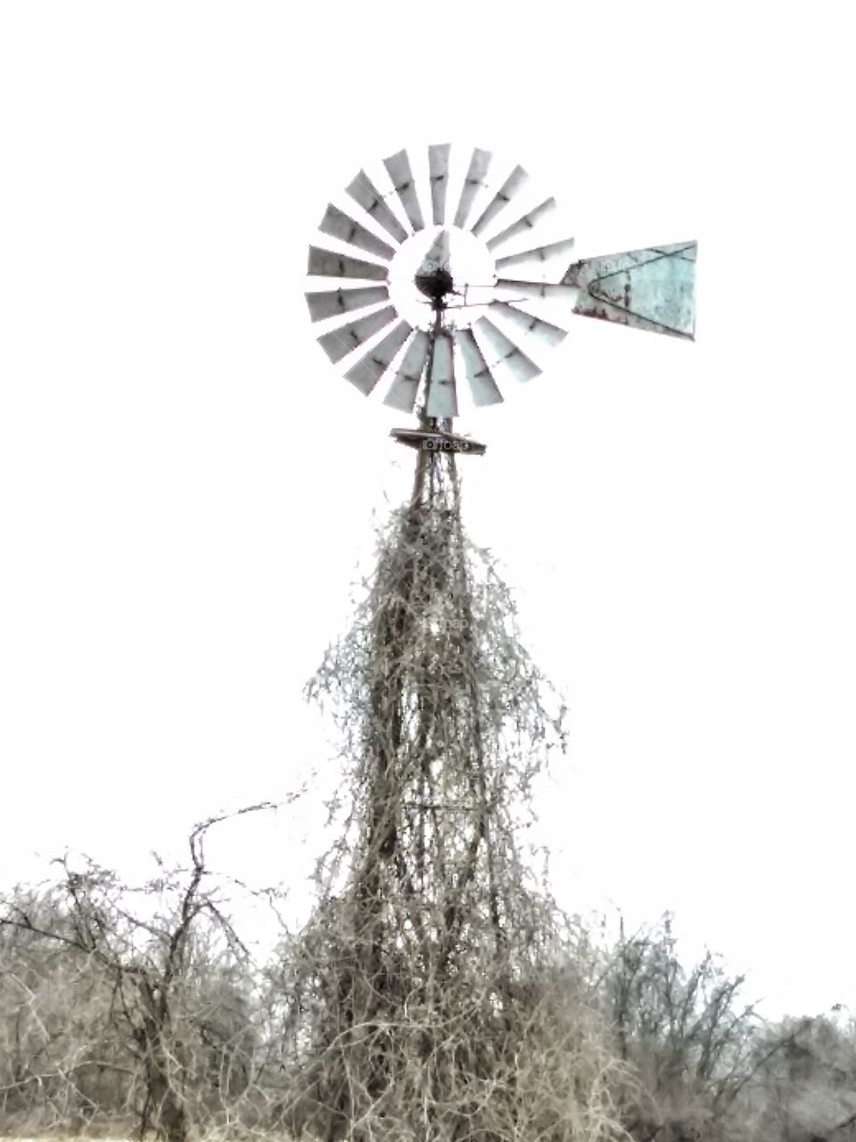 A windmill that still turns... rural Missouri.