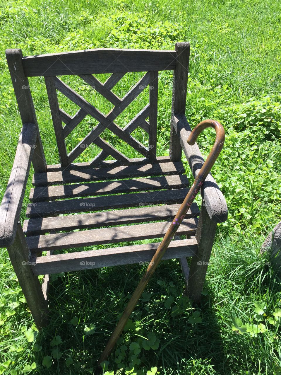 Chair and cane