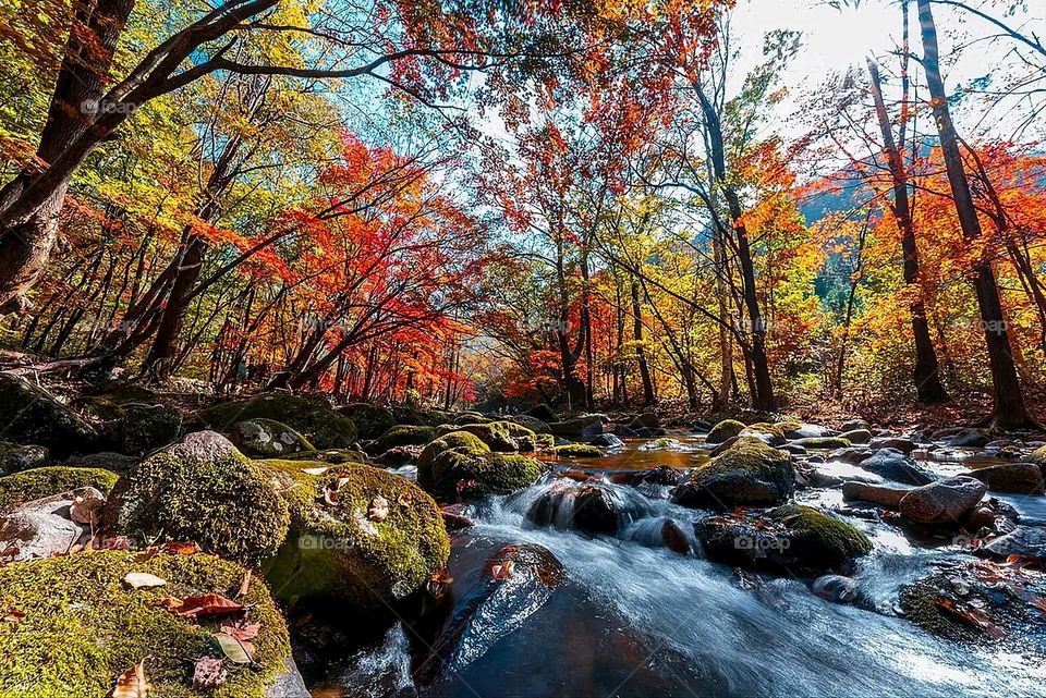 The image embodies a natural natural plate of the mountains of nature, where green agricultural stands are graded on the slopes as if they were lines of a poem, which fog harmoniously wrapped, and clouds hugged them in the mountain knife and the whis