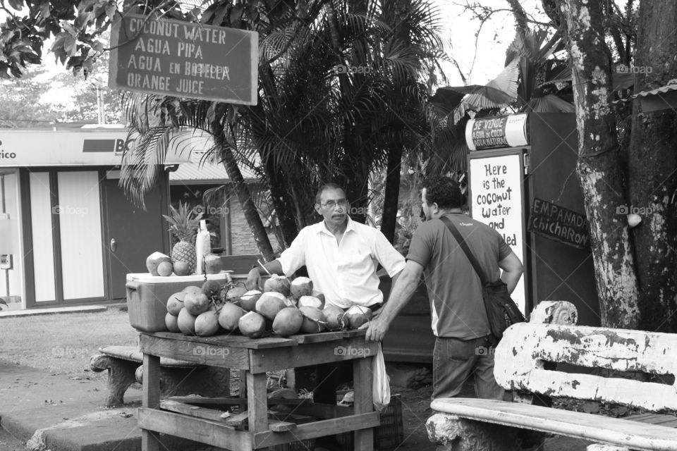 Selling coconuts 