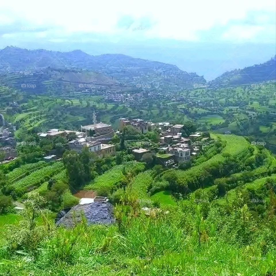A stunning view of green mountains covered in fog in Yemen