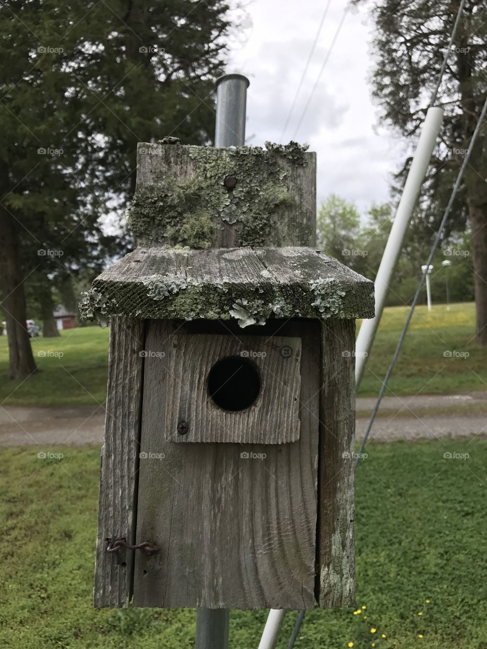 Birdhouse 