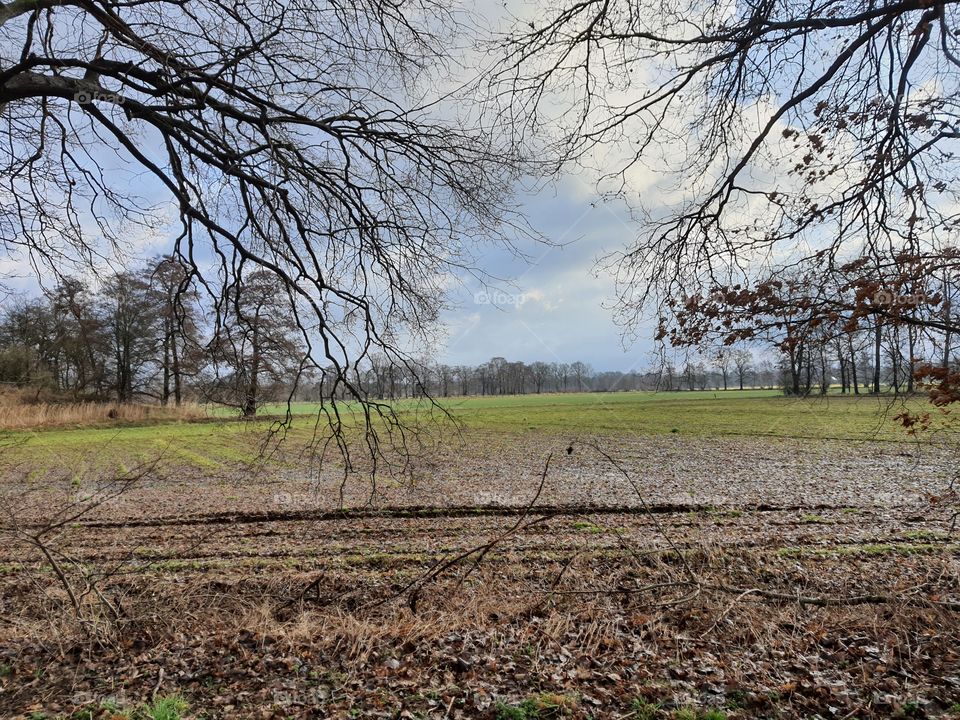 Landscape, Mobile Phone Photo