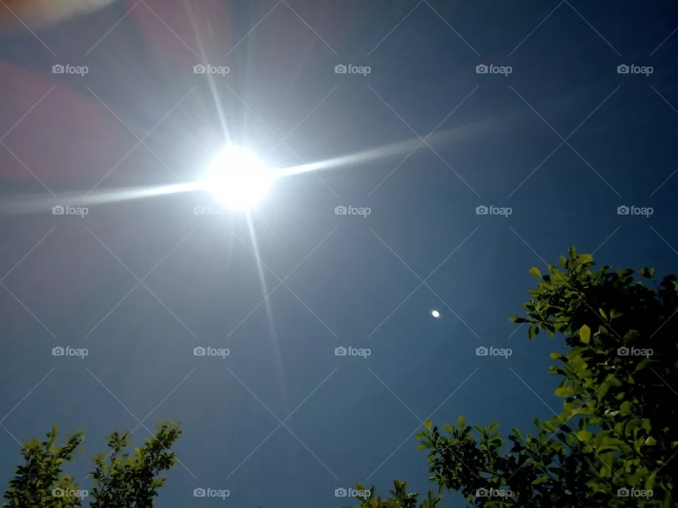 Sun