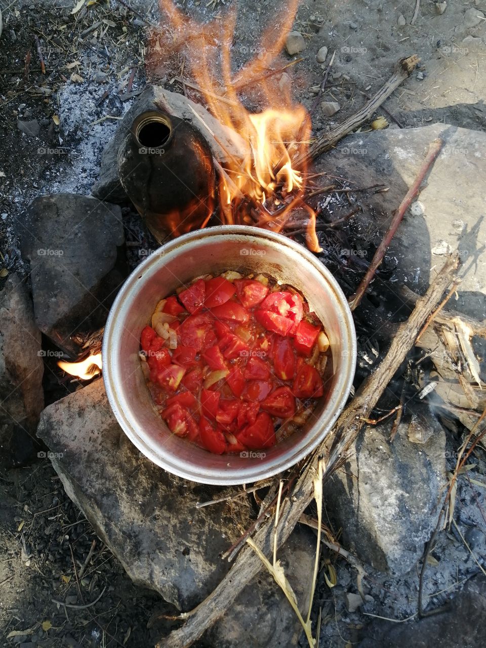 Cooking on the fire