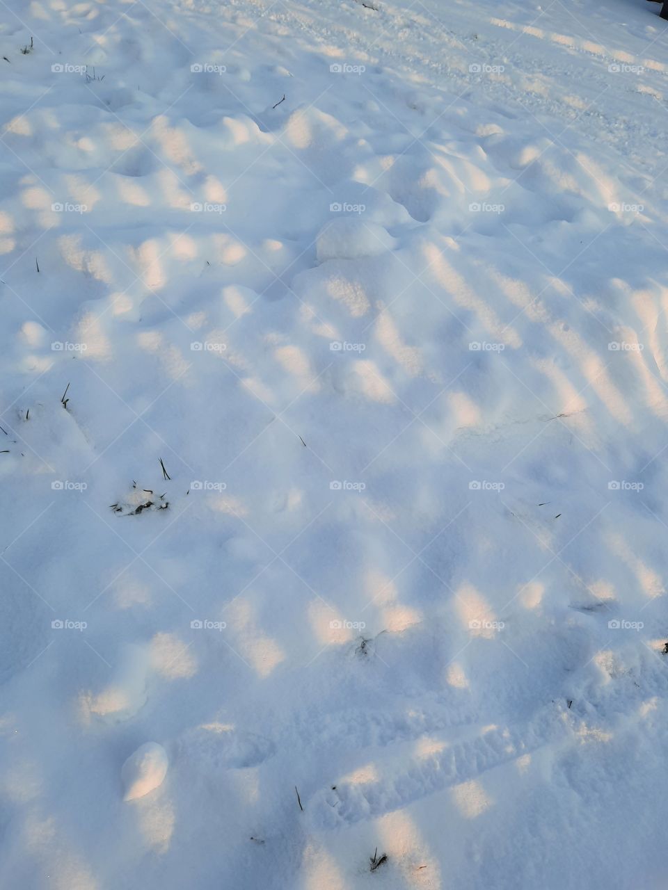 studium  of snow on a sunny day  - spots of sunshine